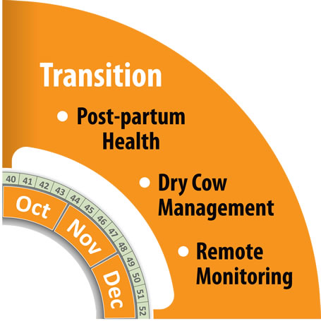 Monitoring Transition Period with HerdInsights